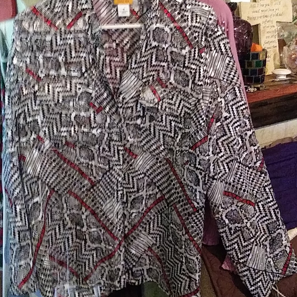 18 Ruby Rd Sheer L/S Button Down Blouse - image 1